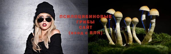 спайс Алексеевка