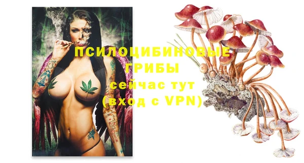 дживик Абдулино