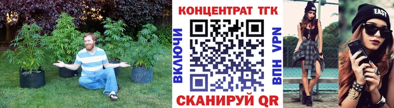 ТГК жижа купить закладку кракен Камызяк