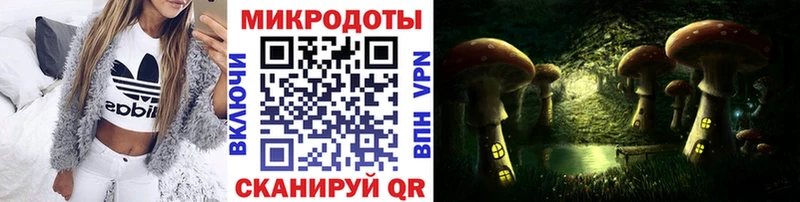 OMG сайт  купить закладку  Камызяк  Галлюциногенные грибы Cubensis 