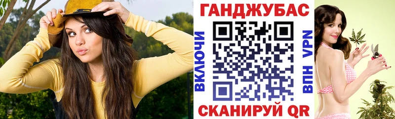 купить закладку  Камызяк  Бошки марихуана тримм 